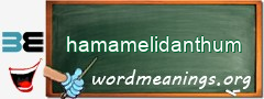 WordMeaning blackboard for hamamelidanthum